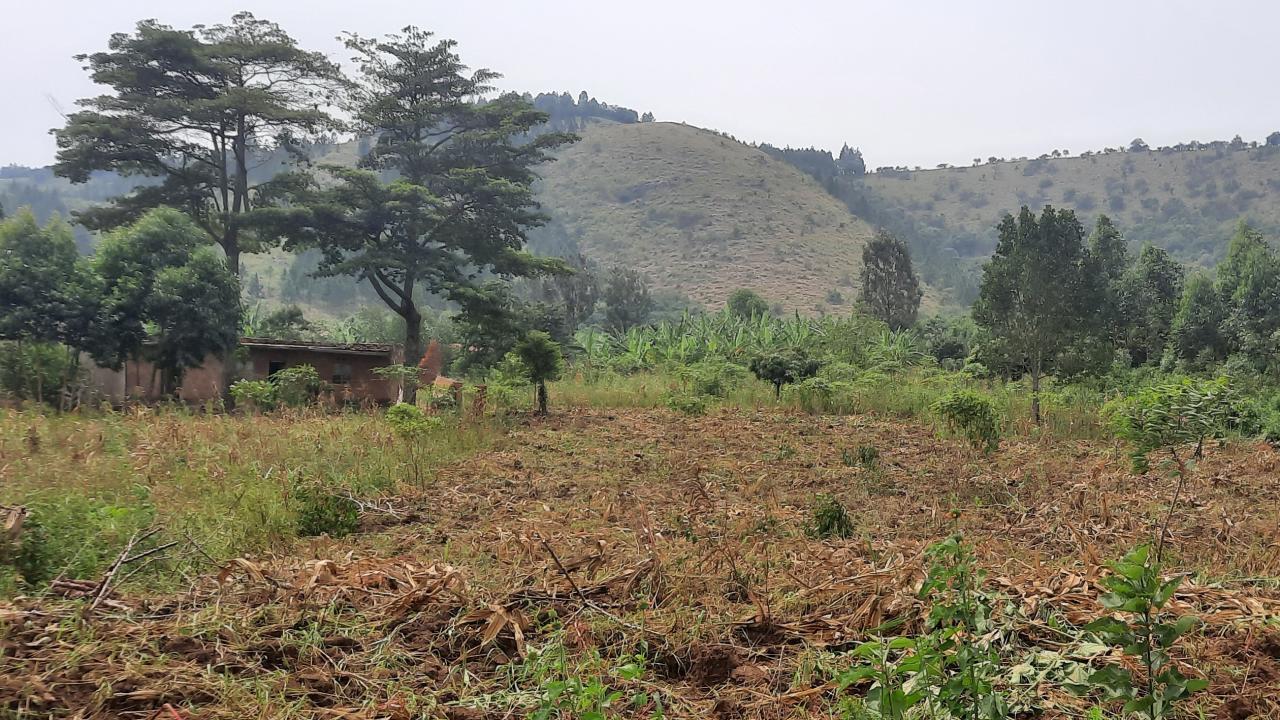 farm in Isingiro Uganda