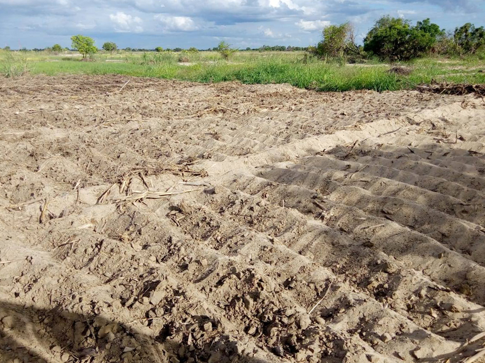 sand on a field in Mozambique