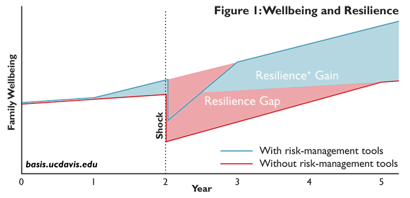 Resilience-Plus figure 1