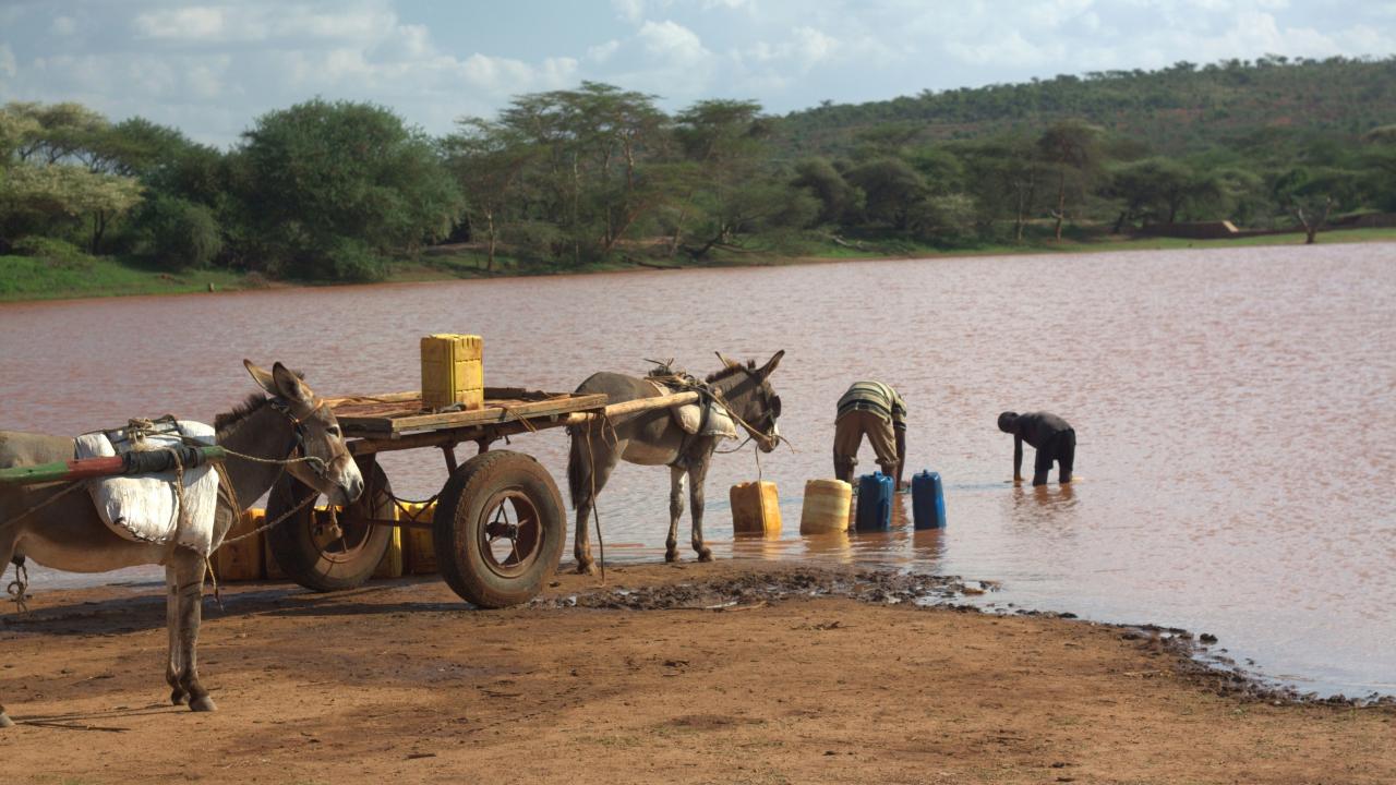 transporting water
