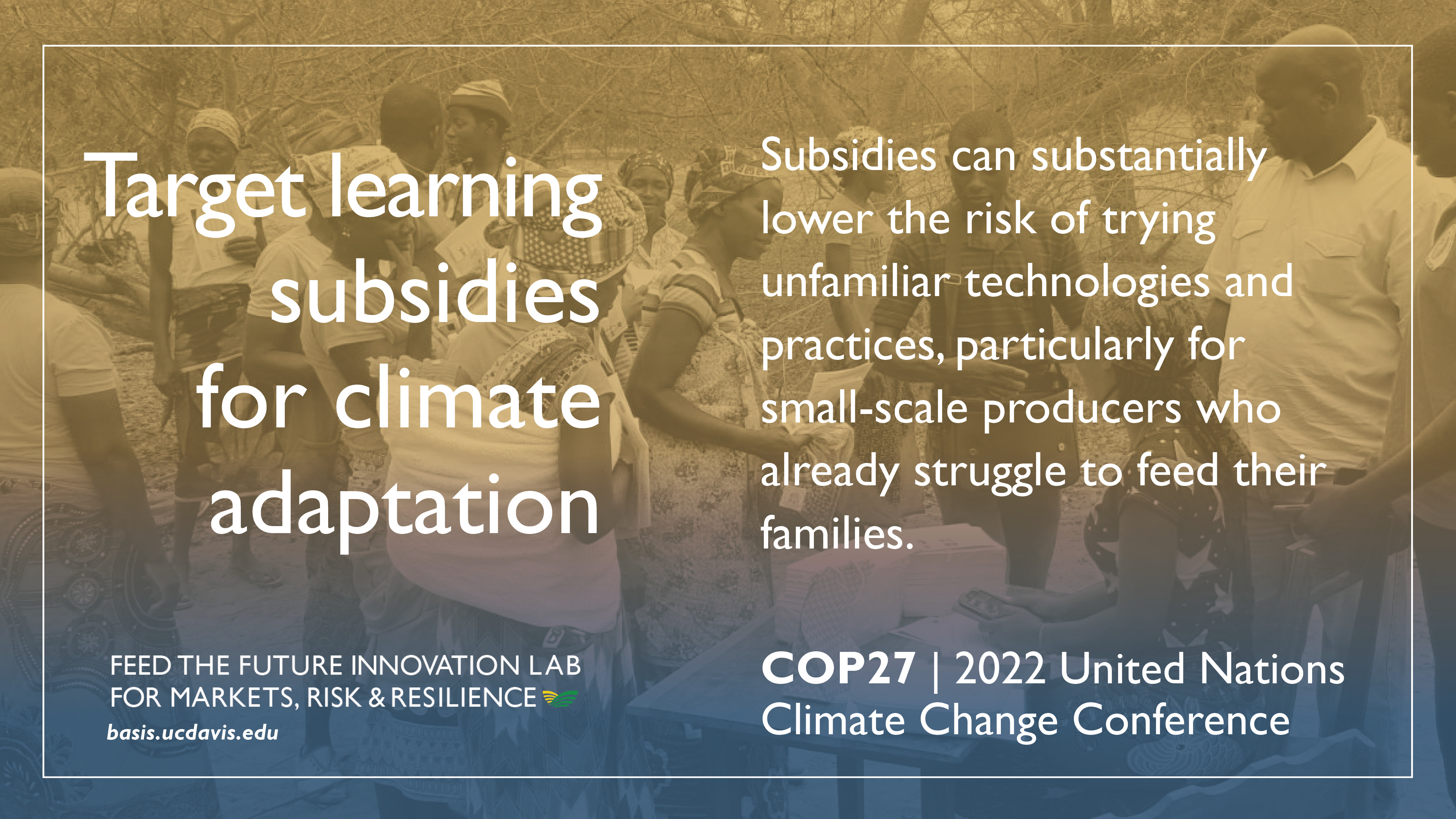 Target learning subsidies for climate adaptation