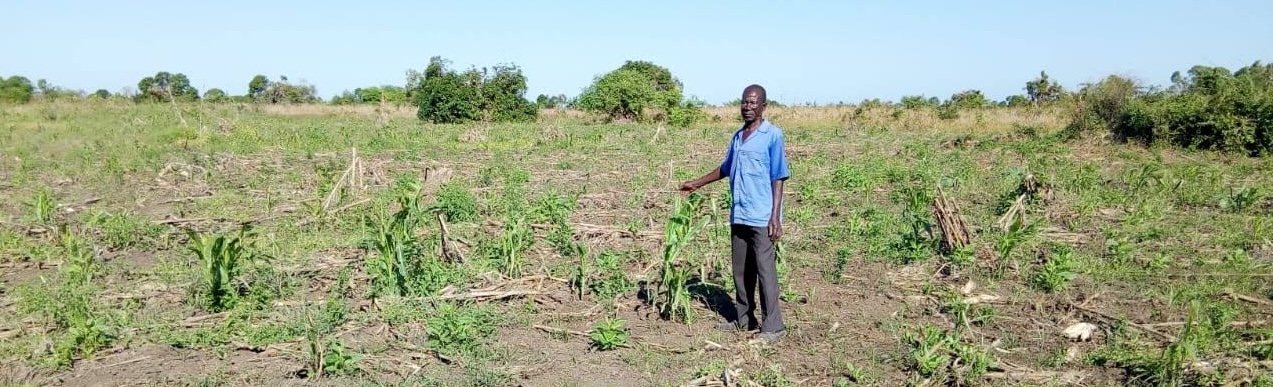 Mozambican farmer in field