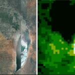 satellite imagery of vegetation
