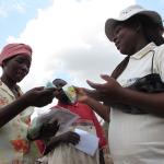 seed distribution in Mozambique