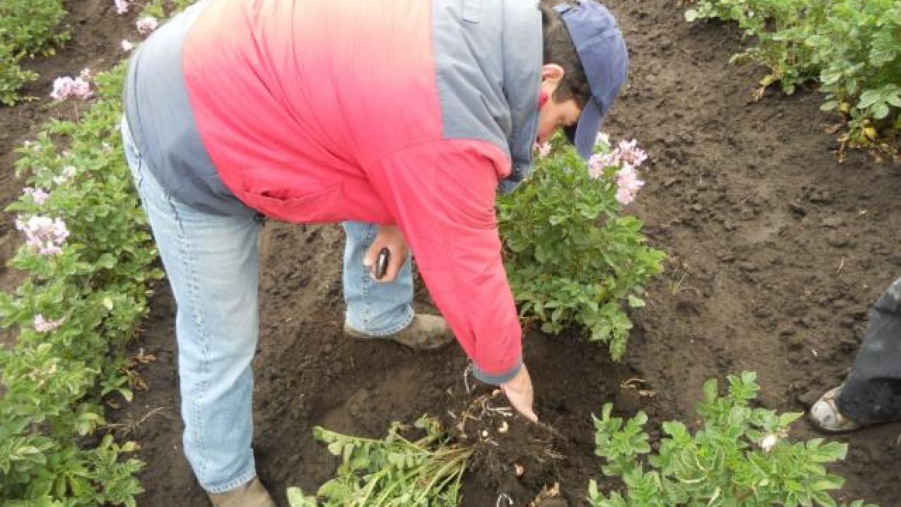 farmer in Ecuador