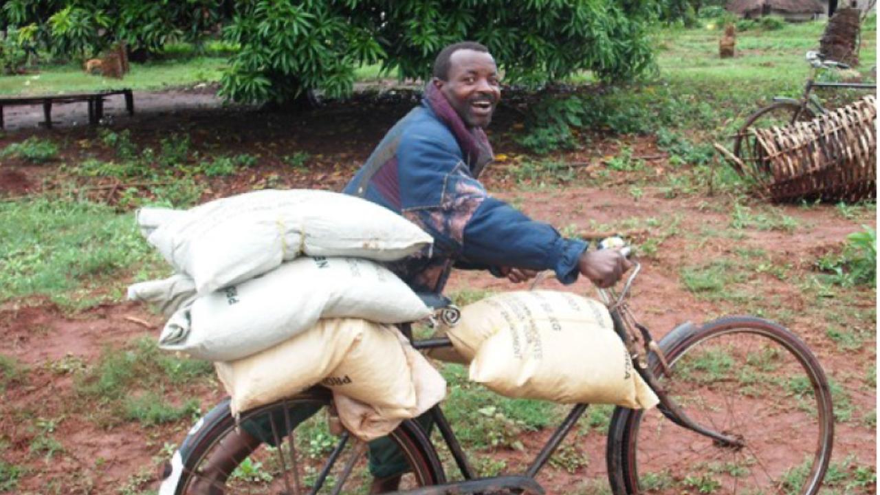 Mozambique farmer