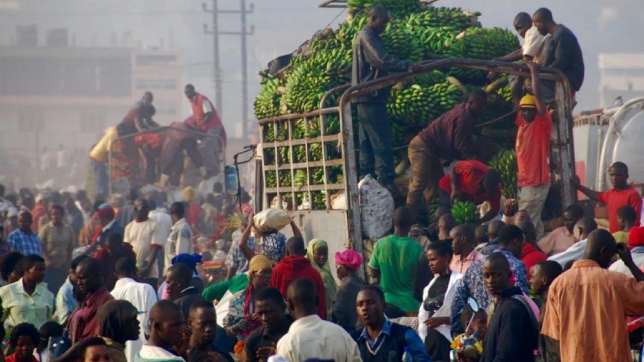 Uganda farmers market