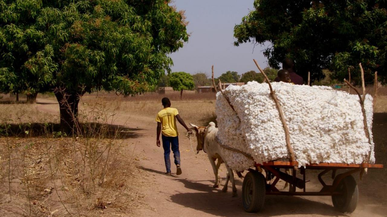 cotton cart