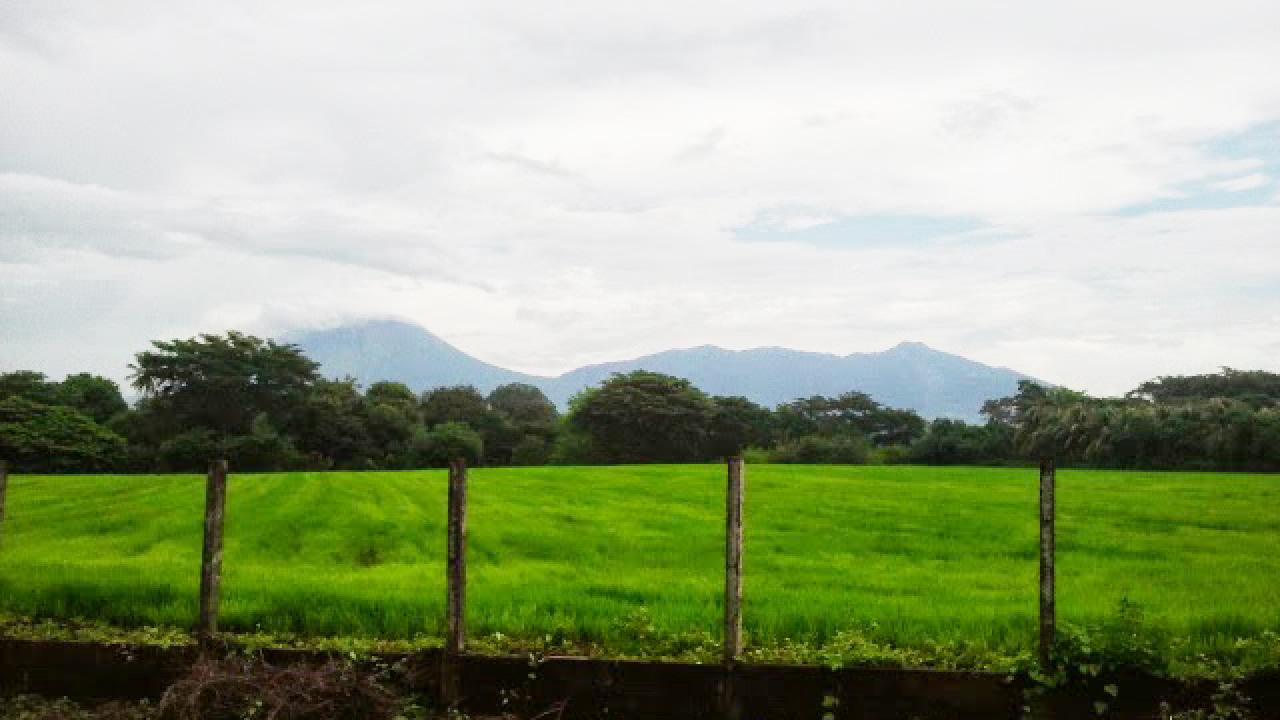 farm in Nicaragua