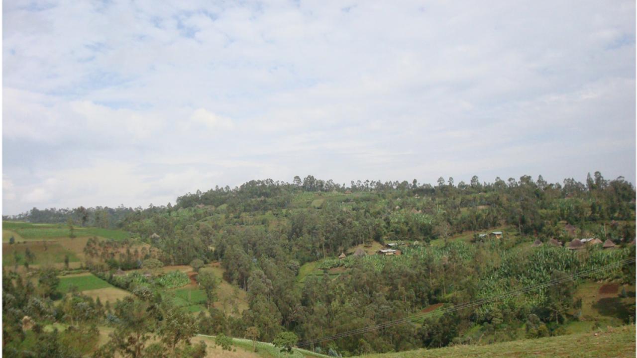 farm in Ethiopia