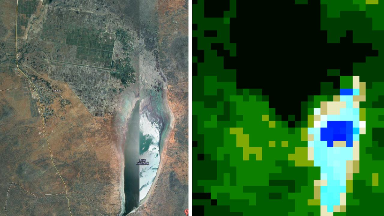 satellite imagery of vegetation