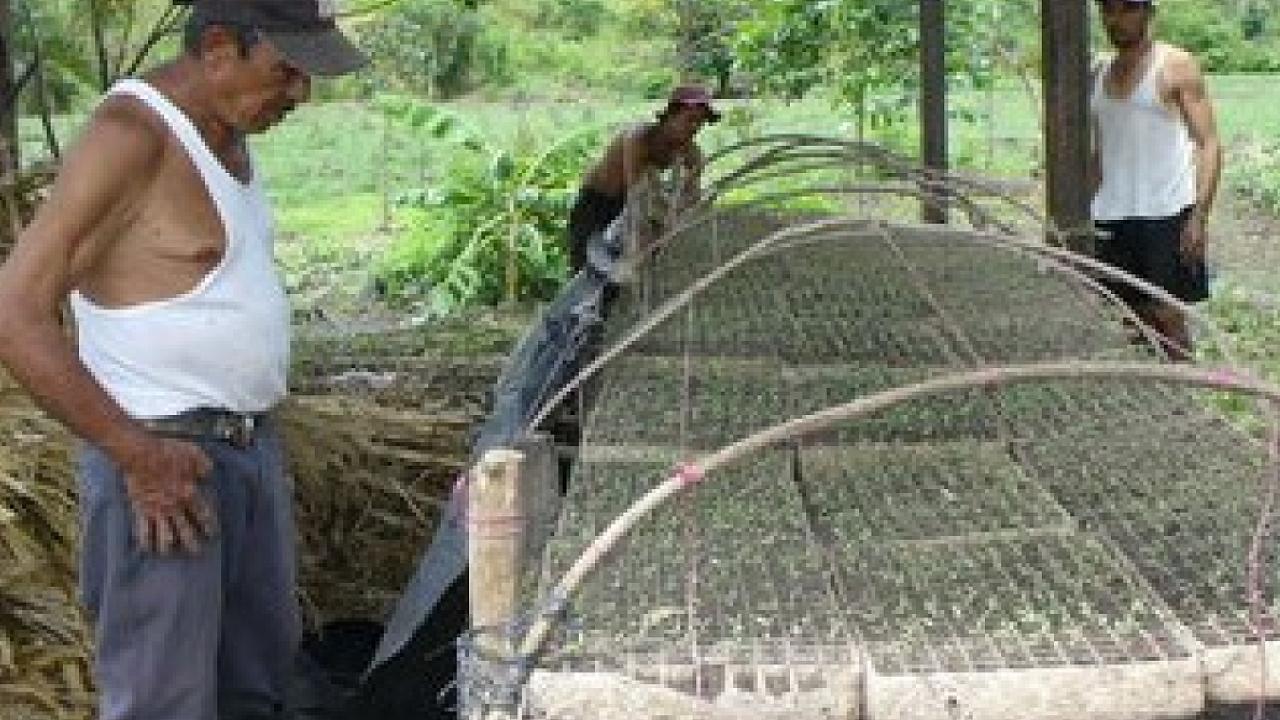farmer in Nicaragua