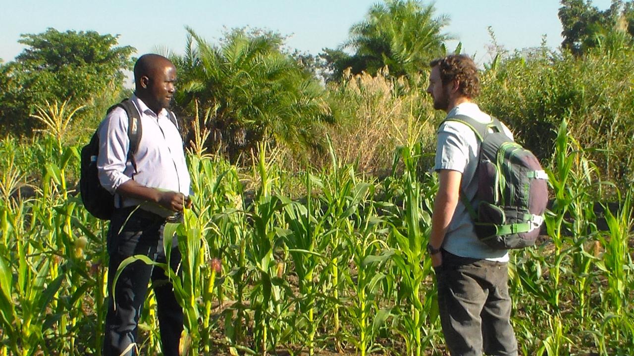 researchers in Malawi