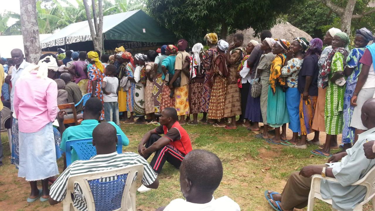 waiting for Western Seed trial packs in Kenya