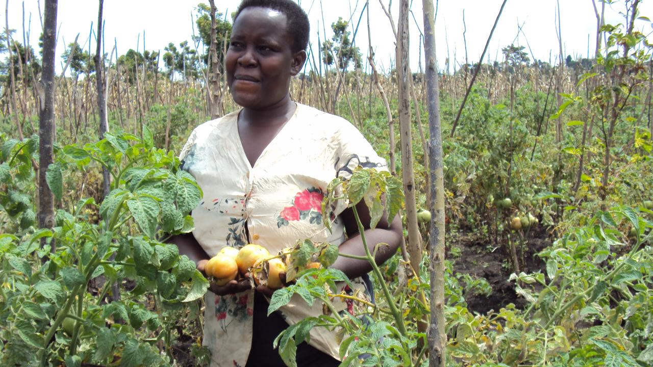 farmer in Uganda