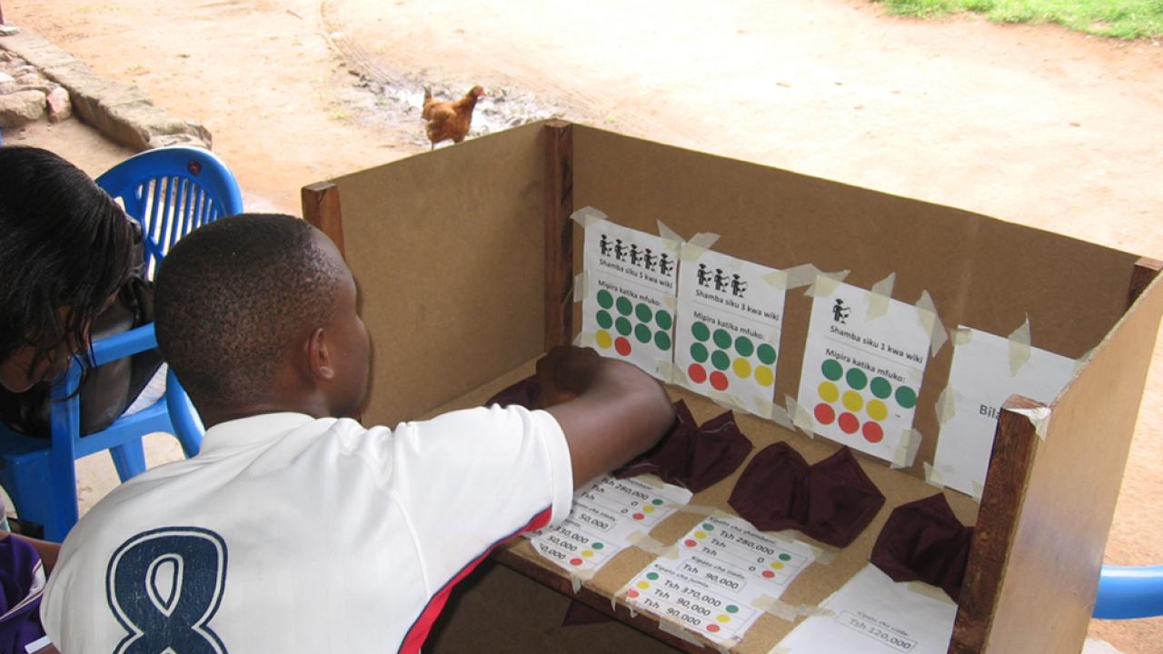 Experimental game in Tanzania