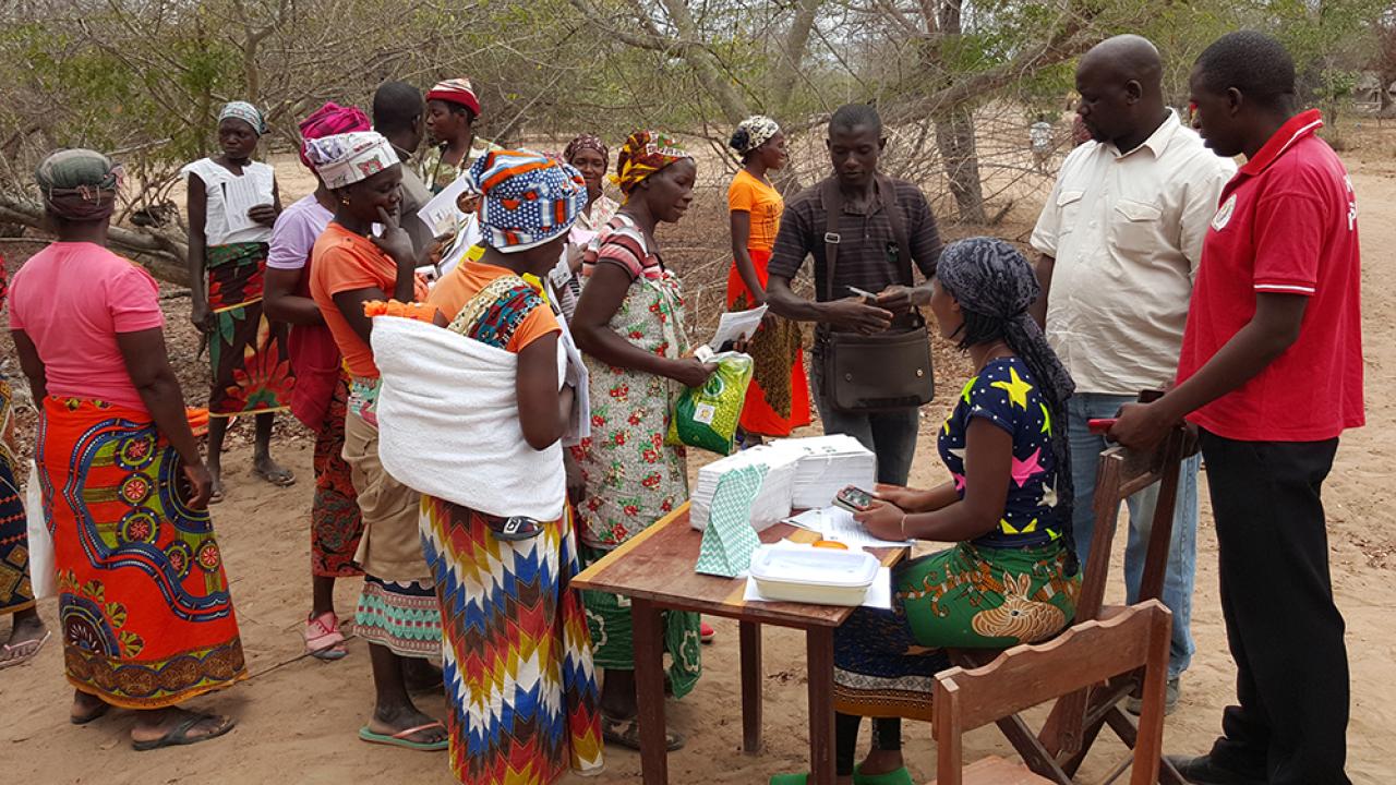 drought-tolerant maize distribution in Tanzania