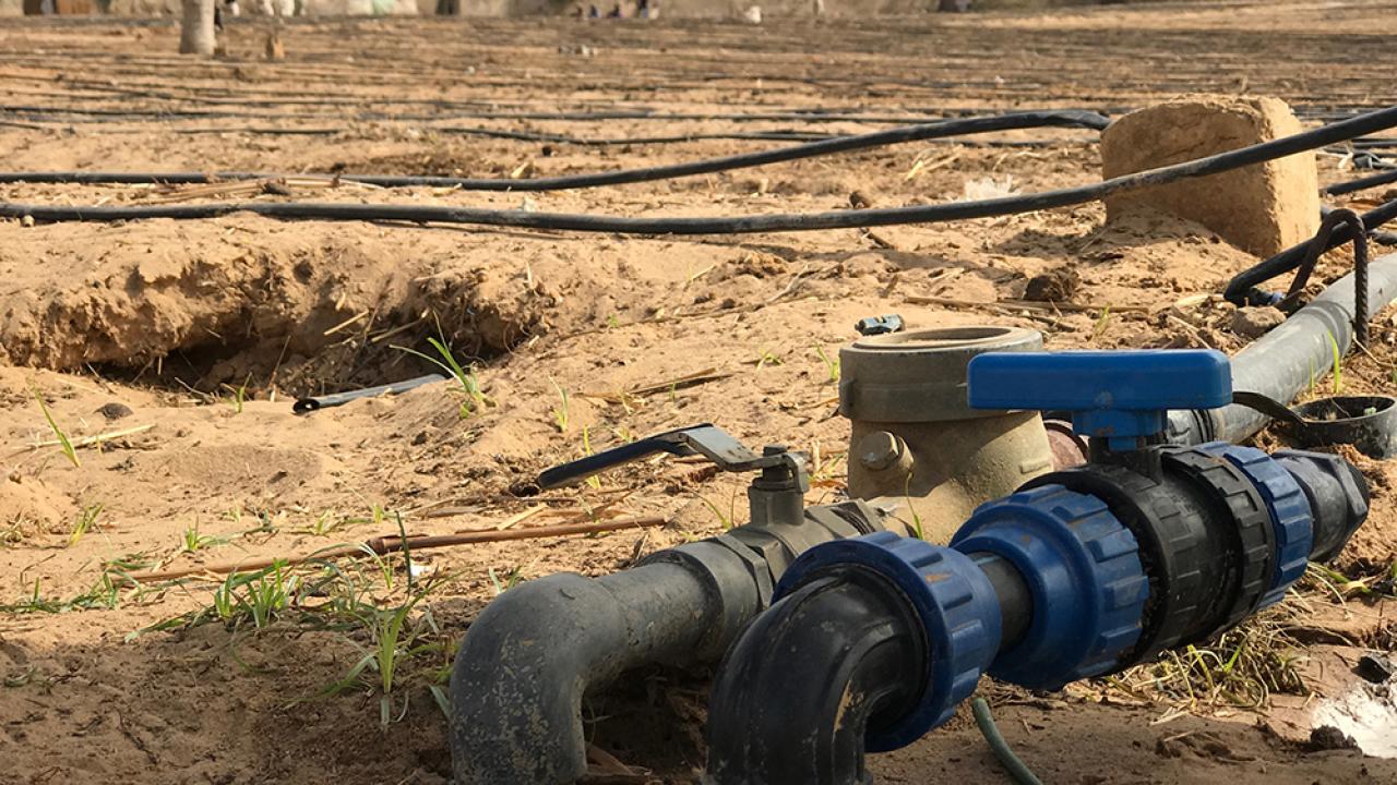 Senegal irrigation