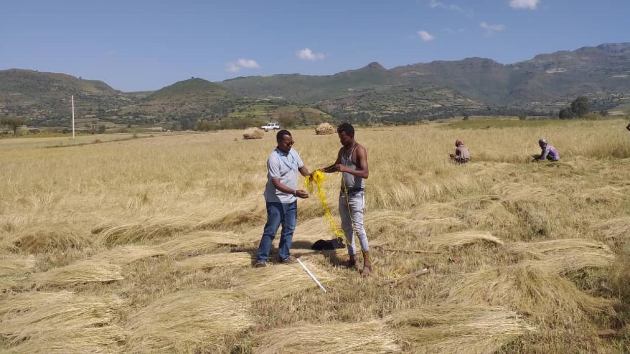 Research in Ethiopia