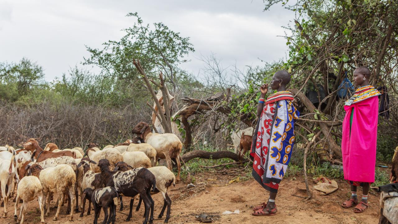 pastoralist community in Kenya