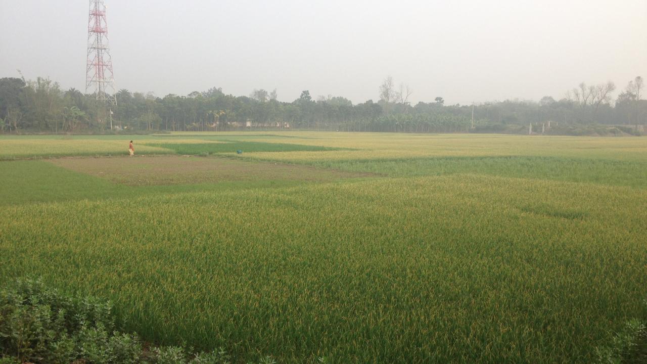 Bangladesh