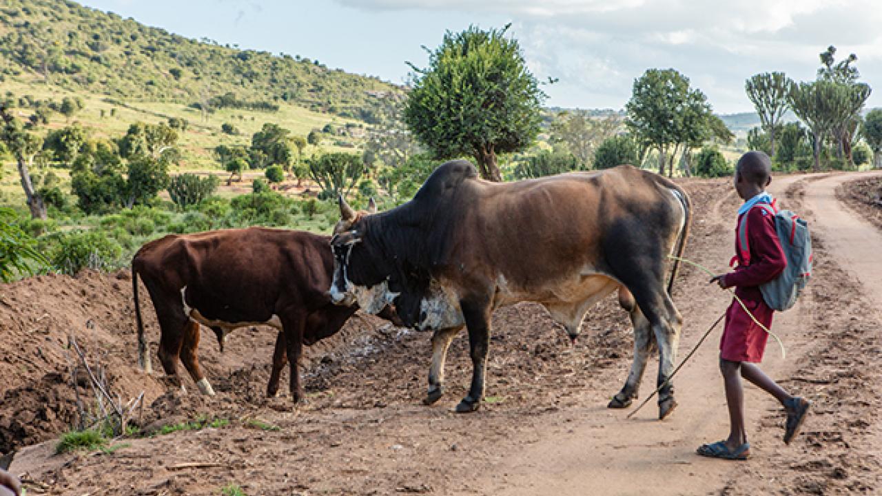 Samburu, Kenya