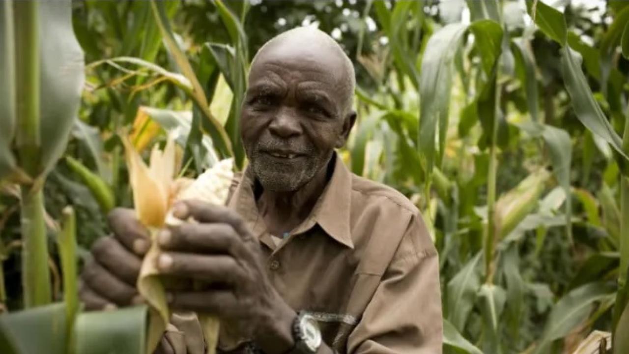 Farmer in Kenya