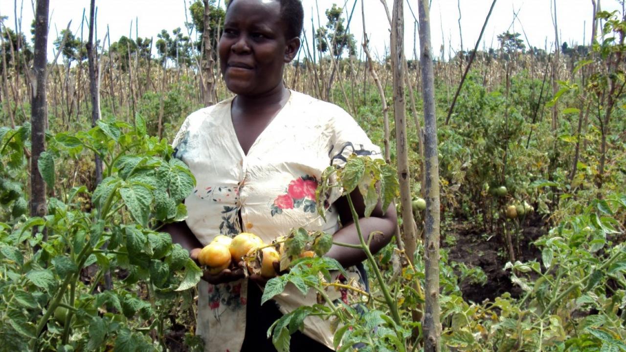 Farmer in Uganda