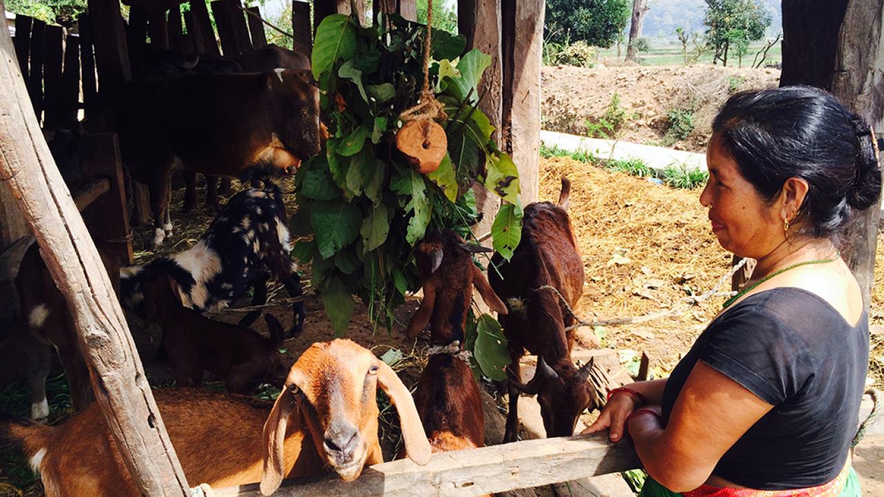 Nepal rural community