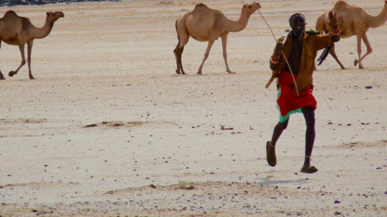 pastoralist in Africa