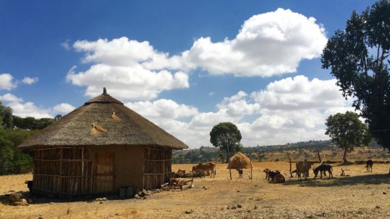hut in Ethiopia