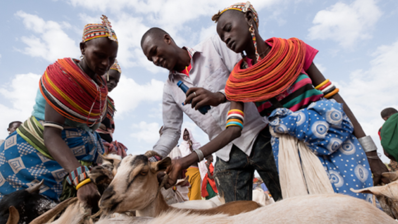 pastoralist in Africa