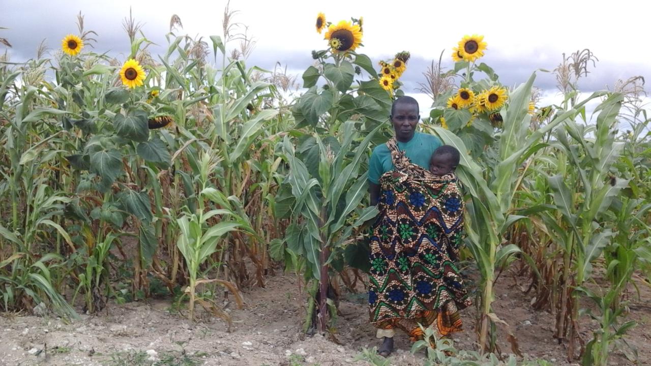 Tanzania farmer