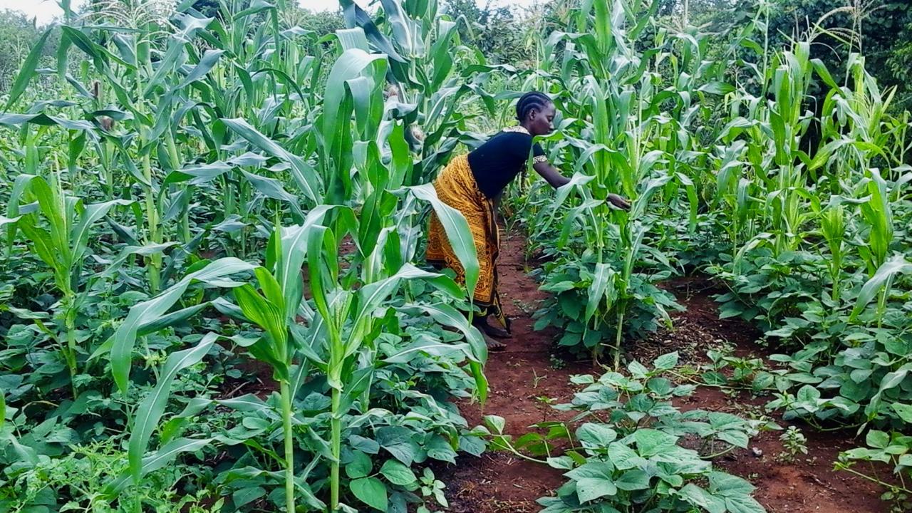 Woman Farming