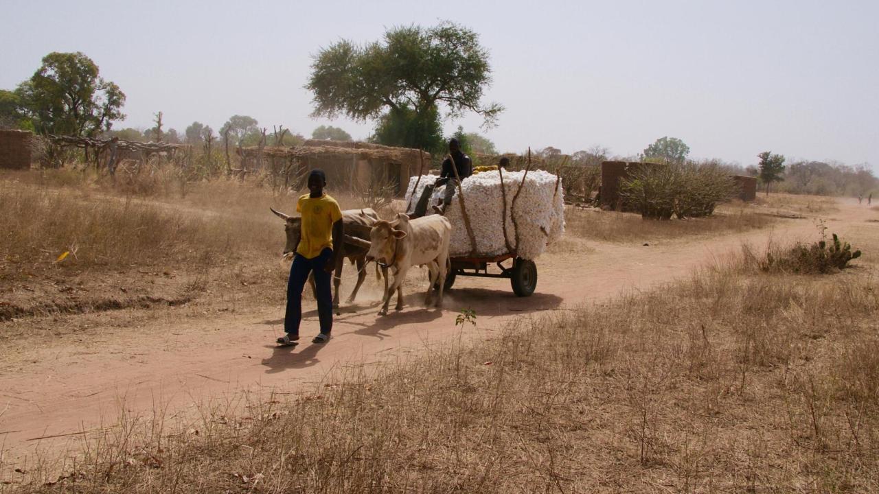 Farmer with cart