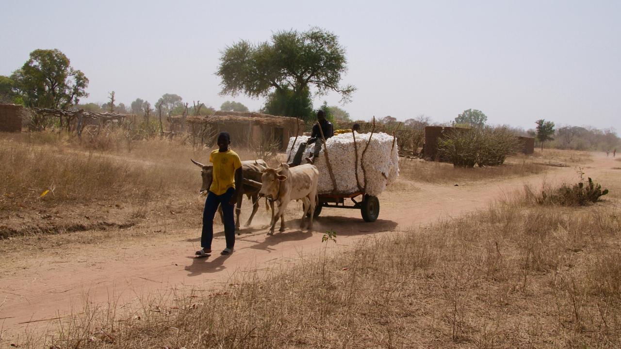 Boy with cart