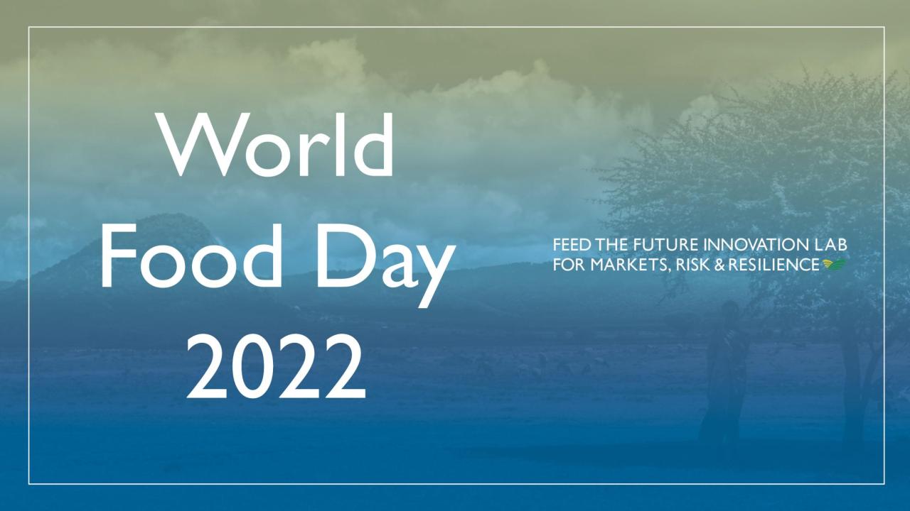 World Food Day 2022