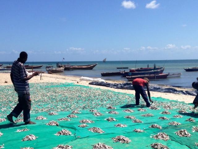 Tanzania fishery