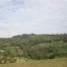 farm in Ethiopia