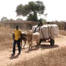 Burkina Faso cotton farmers