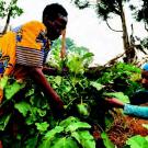 women farmers in Uganda