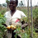 Farmer in Uganda