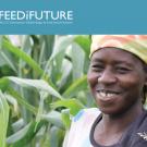 Feed the Future research strategy cover