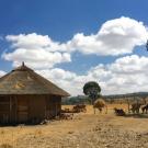 hut in Ethiopia