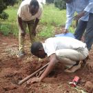Getting a soil sample