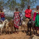 Samburu pastoralists