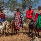 Samburu pastoralists